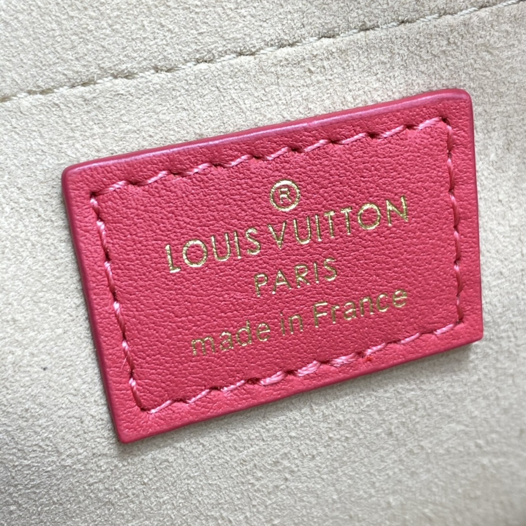 Louis Vuitton TROCA PM Handbag M59118 Pink